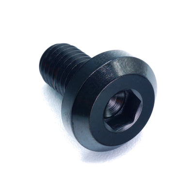 M8 x 1.25 x 15mm titanium motor head bolt in polished finish
