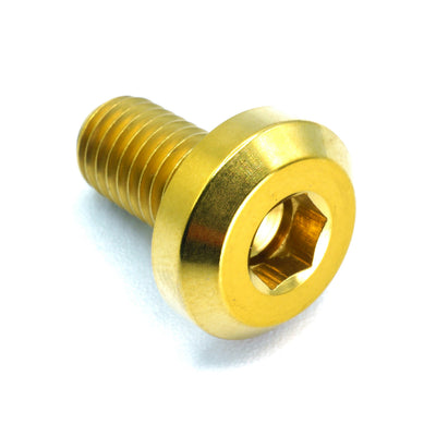 M8 x 1.25 x 15mm titanium motor head bolt in polished finish