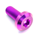 M8 x 1.25 x 20mm Titanium Motor Head Bolt in polished finish