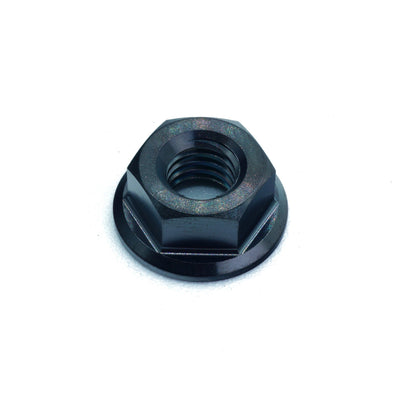 M6 x 1.00 Titanium Nut in Polished finish