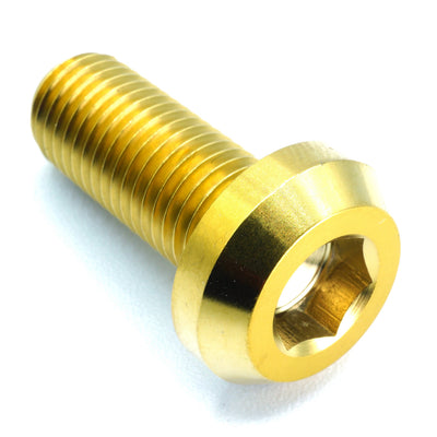 M10 x 1.25 x 25mm Titanium Motor Head Bolt in polished finish