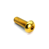 M5 x .8 x 15mm Titanium Button Head Bolt in Polished finish