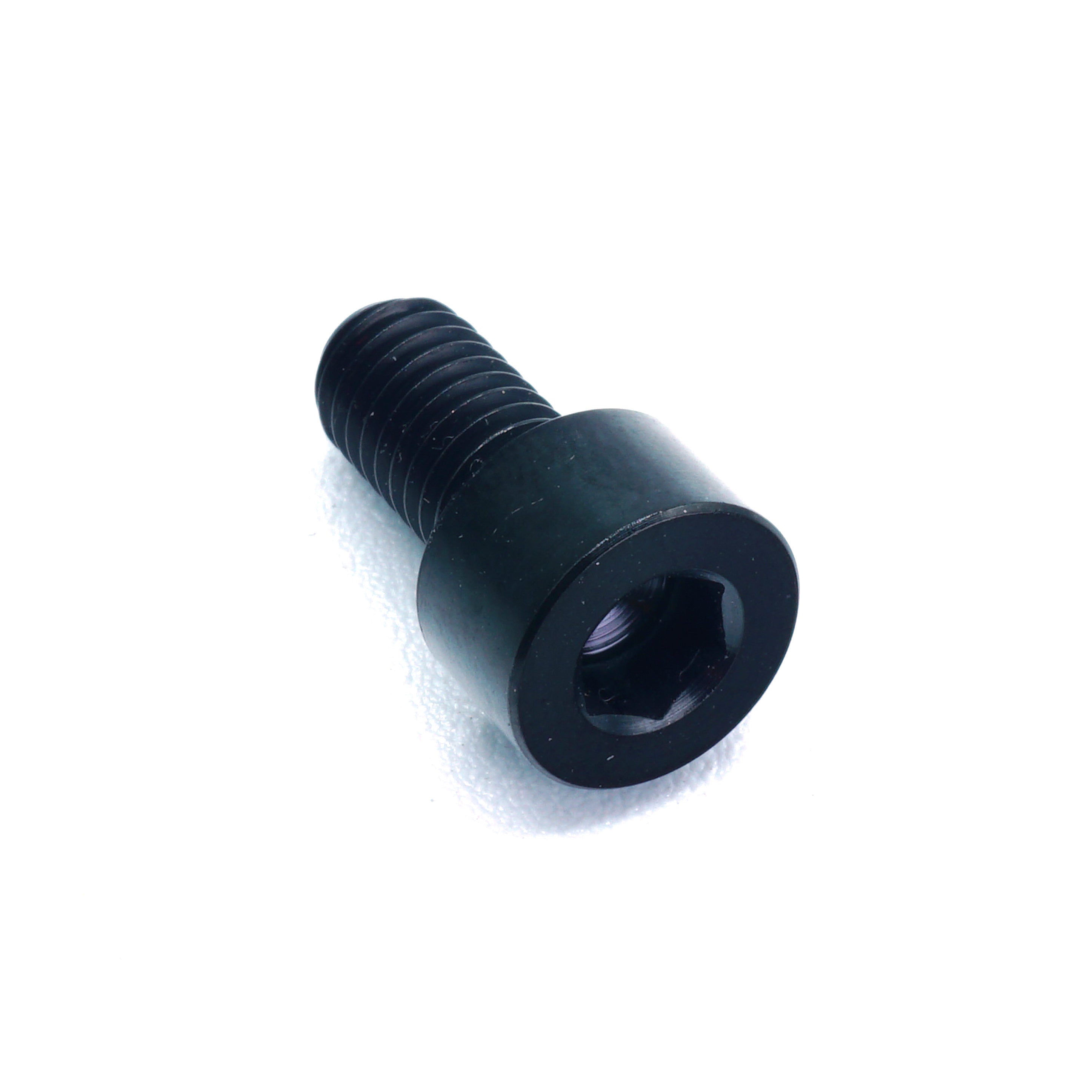M5 x .8 x 10mm titanium socket cap bolt in polished finish