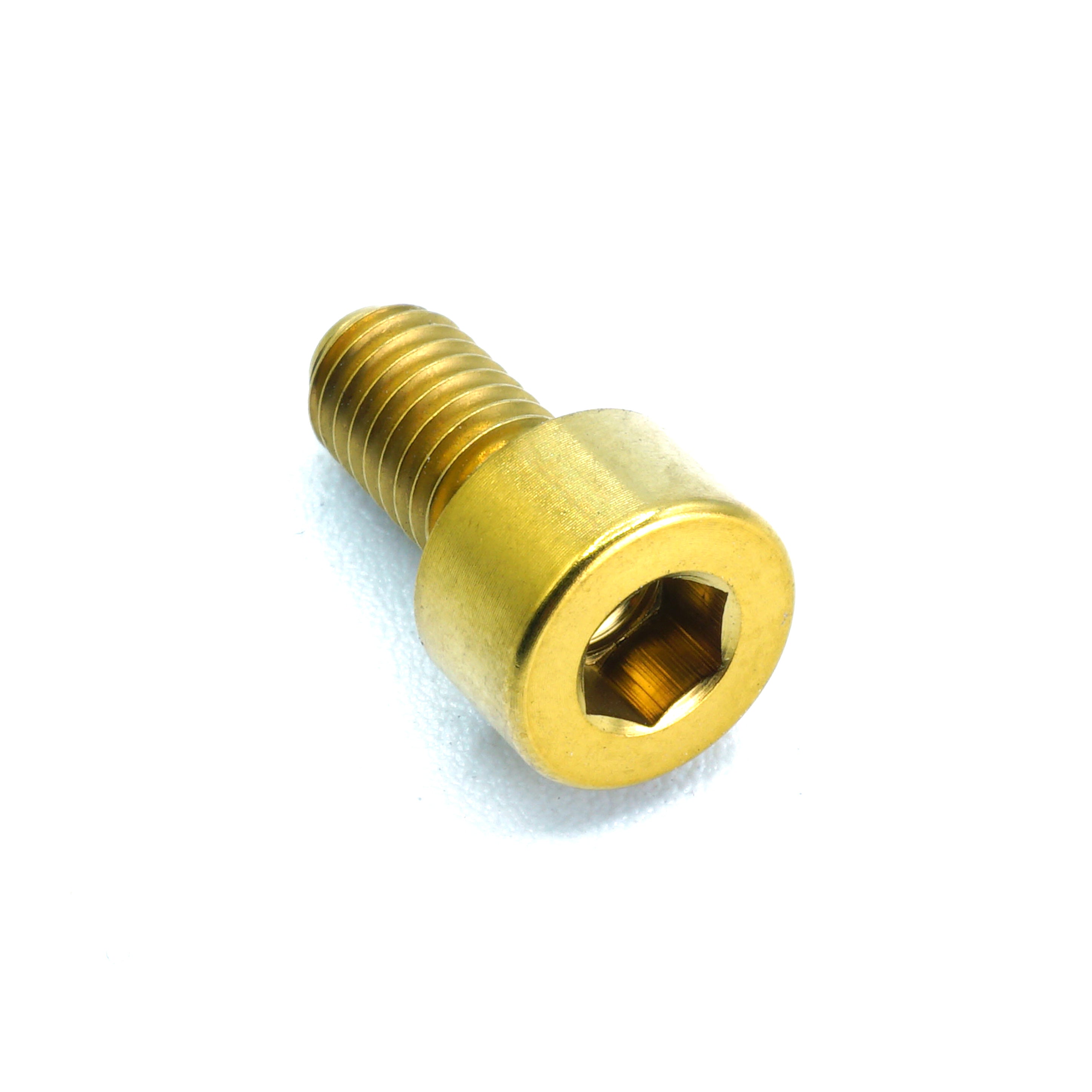 M5 x .8 x 10mm titanium socket cap bolt in polished finish