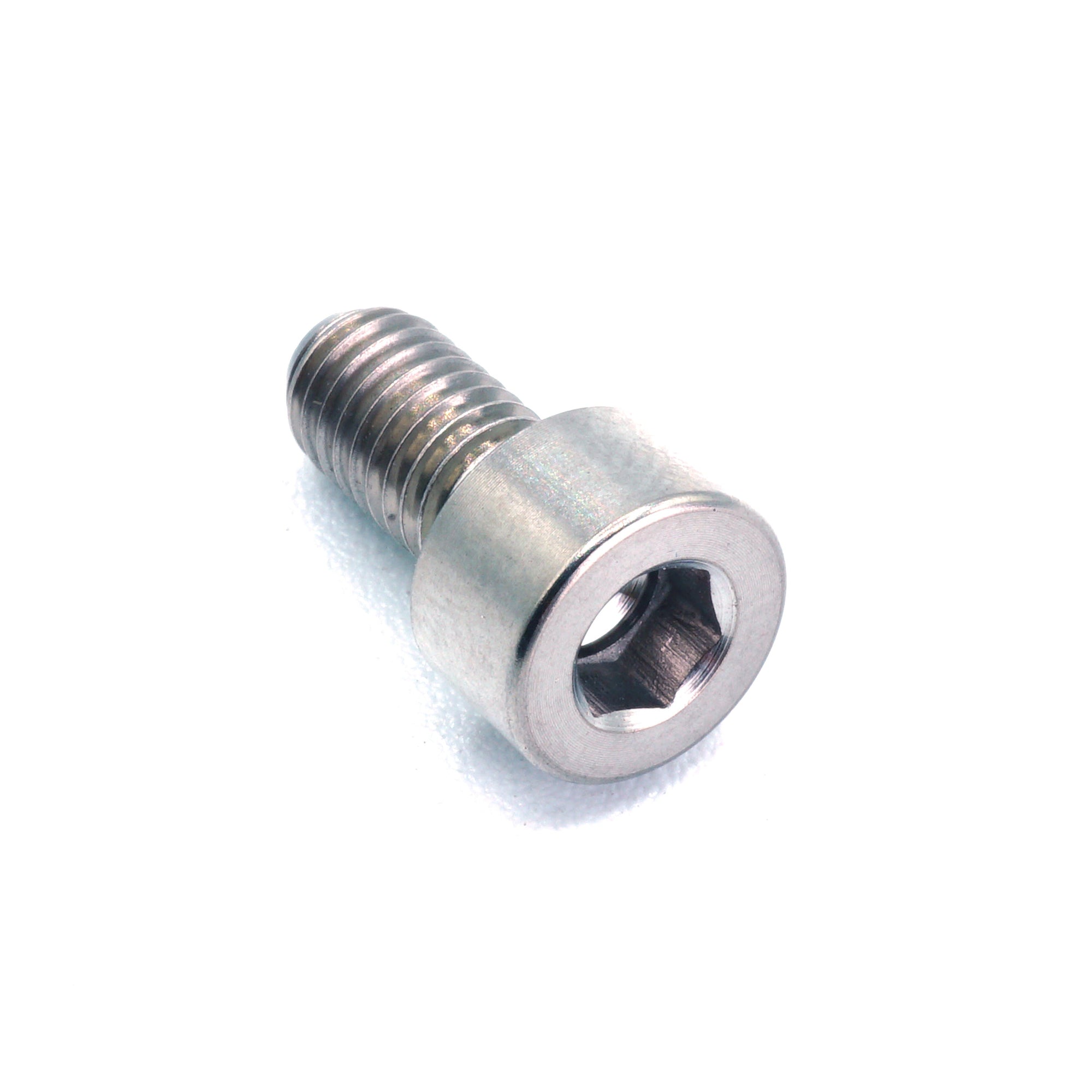 M5 x .8 x 10mm titanium socket cap bolt in polished finish