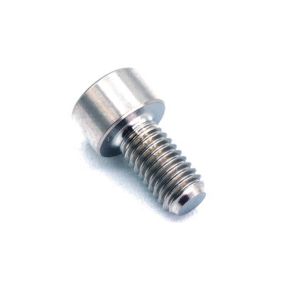 M5 x .8 x 10mm titanium socket cap bolt in polished finish