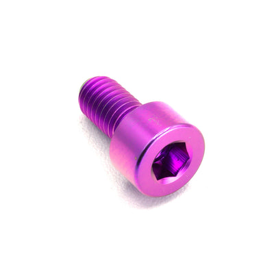 M5 x .8 x 15mm Titanium Socket Cap Bolt in polished finish