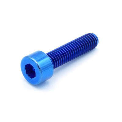 M5 x .8 x 20mm titanium socket cap bolt in polished finish