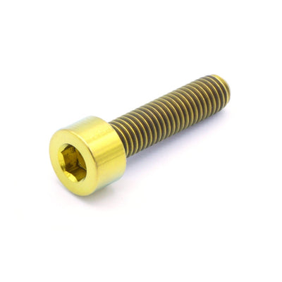 M5 x .8 x 20mm titanium socket cap bolt in polished finish