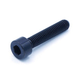 M5 x .8 x 25mm titanium socket cap bolt in polished finish