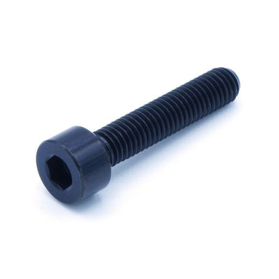 M5 x .8 x 25mm titanium socket cap bolt in polished finish