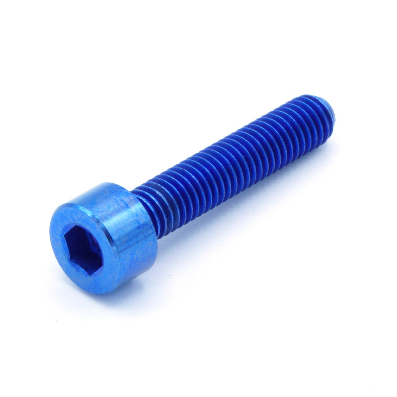 M5 x .8 x 25mm titanium socket cap bolt in polished finish