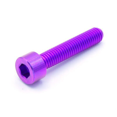 M5 x .8 x 25mm titanium socket cap bolt in polished finish