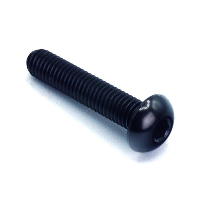 M5 x .8 x 25mm titanium button head bolt in polished finish