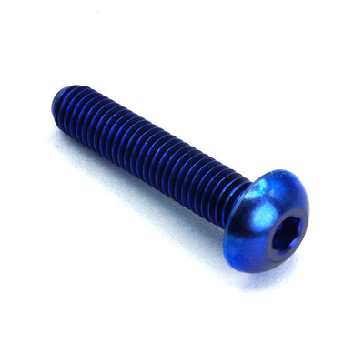 M5 x .8 x 25mm titanium button head bolt in polished finish