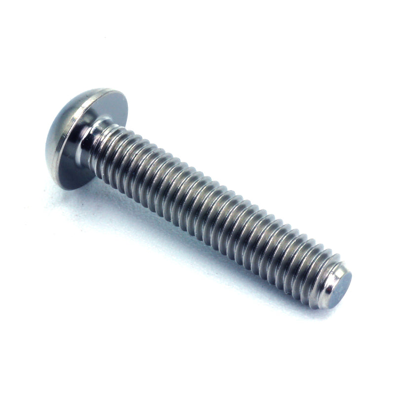 M5 x .8 x 25mm titanium button head bolt in polished finish