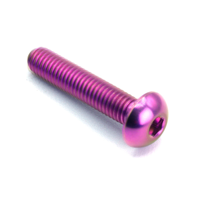 M5 x .8 x 25mm titanium button head bolt in polished finish