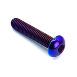 M5 x .8 x 25mm titanium button head bolt in polished finish