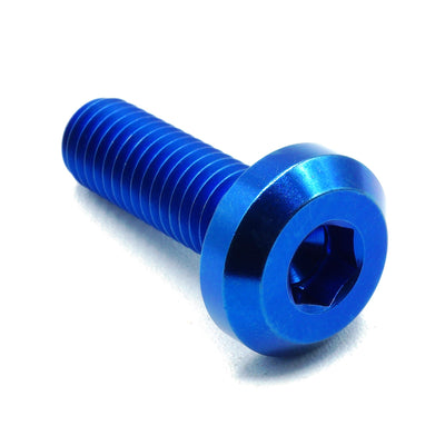 M8 x 1.25 x 25mm titanium motor head bolt in polished finish
