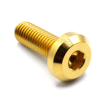 M8 x 1.25 x 25mm titanium motor head bolt in polished finish