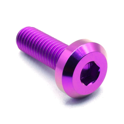M8 x 1.25 x 25mm titanium motor head bolt in polished finish
