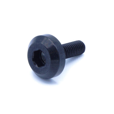 M5 x .8 x 15mm titanium motor head bolt in polished finish