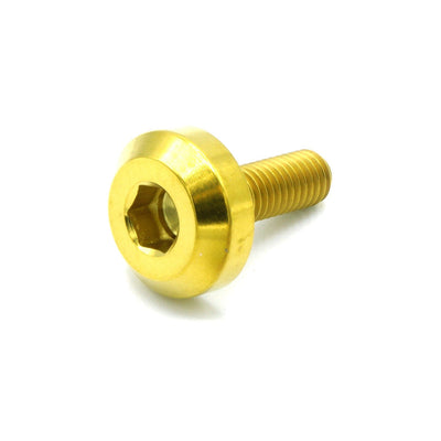 M5 x .8 x 15mm titanium motor head bolt in polished finish