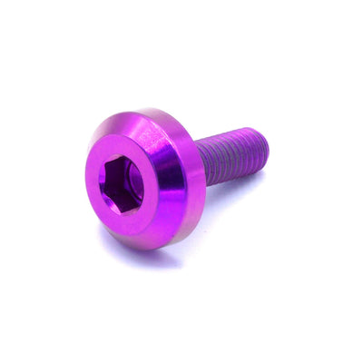 M5 x .8 x 15mm titanium motor head bolt in polished finish