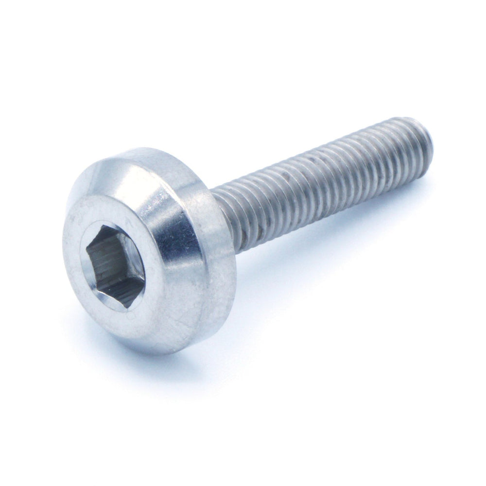 M5 x .8 x 25mm Titanium Motor Head Bolt in various finishes