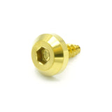 M5 x 2.0 x 15mm Titanium Motor Head Screw in polished finish