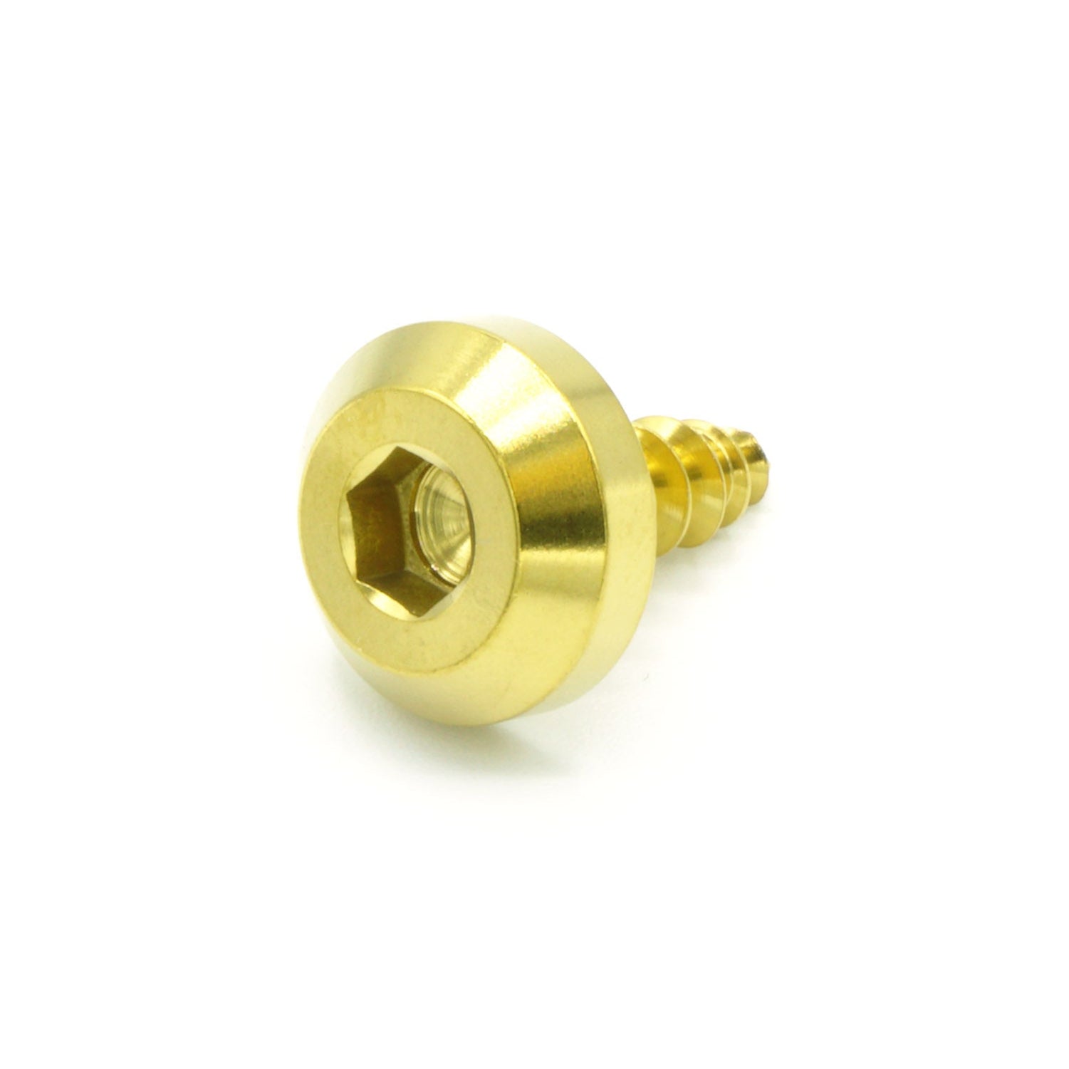 M5 x 2.0 x 15mm Titanium Motor Head Screw in polished finish