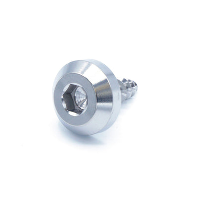 M5 x 2.0 x 15mm Titanium Motor Head Screw in polished finish