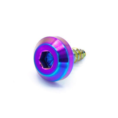 M5 x 2.0 x 15mm Titanium Motor Head Screw in polished finish