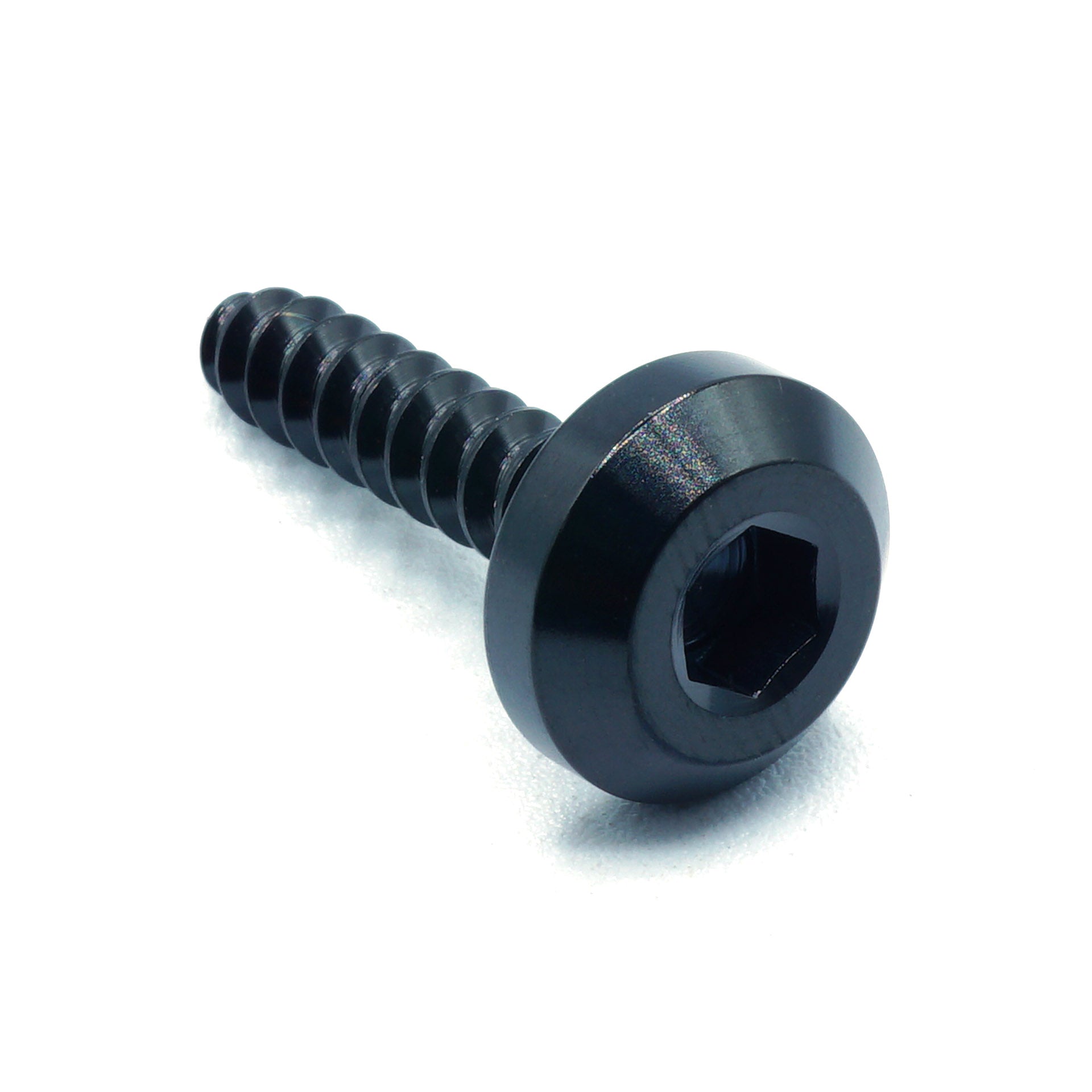 M5 x 2.0 x 25mm titanium motor head screw in polished finish