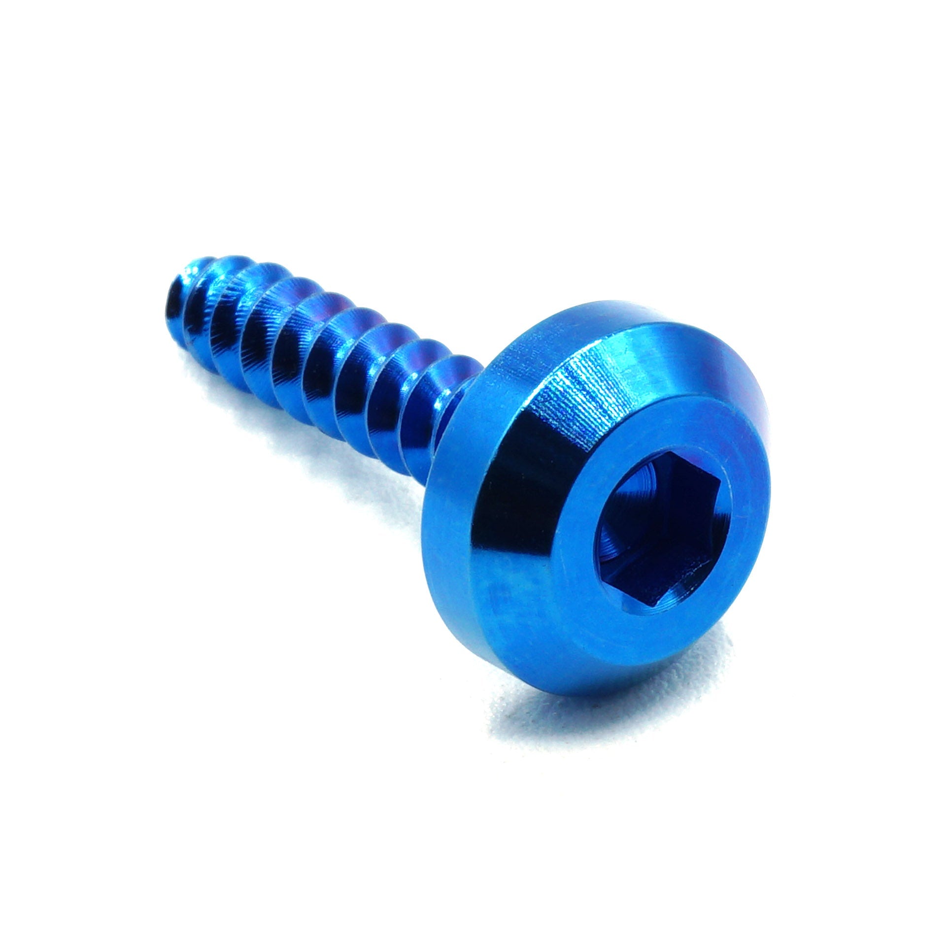 M5 x 2.0 x 25mm titanium motor head screw in polished finish