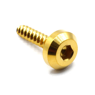 M5 x 2.0 x 25mm titanium motor head screw in polished finish