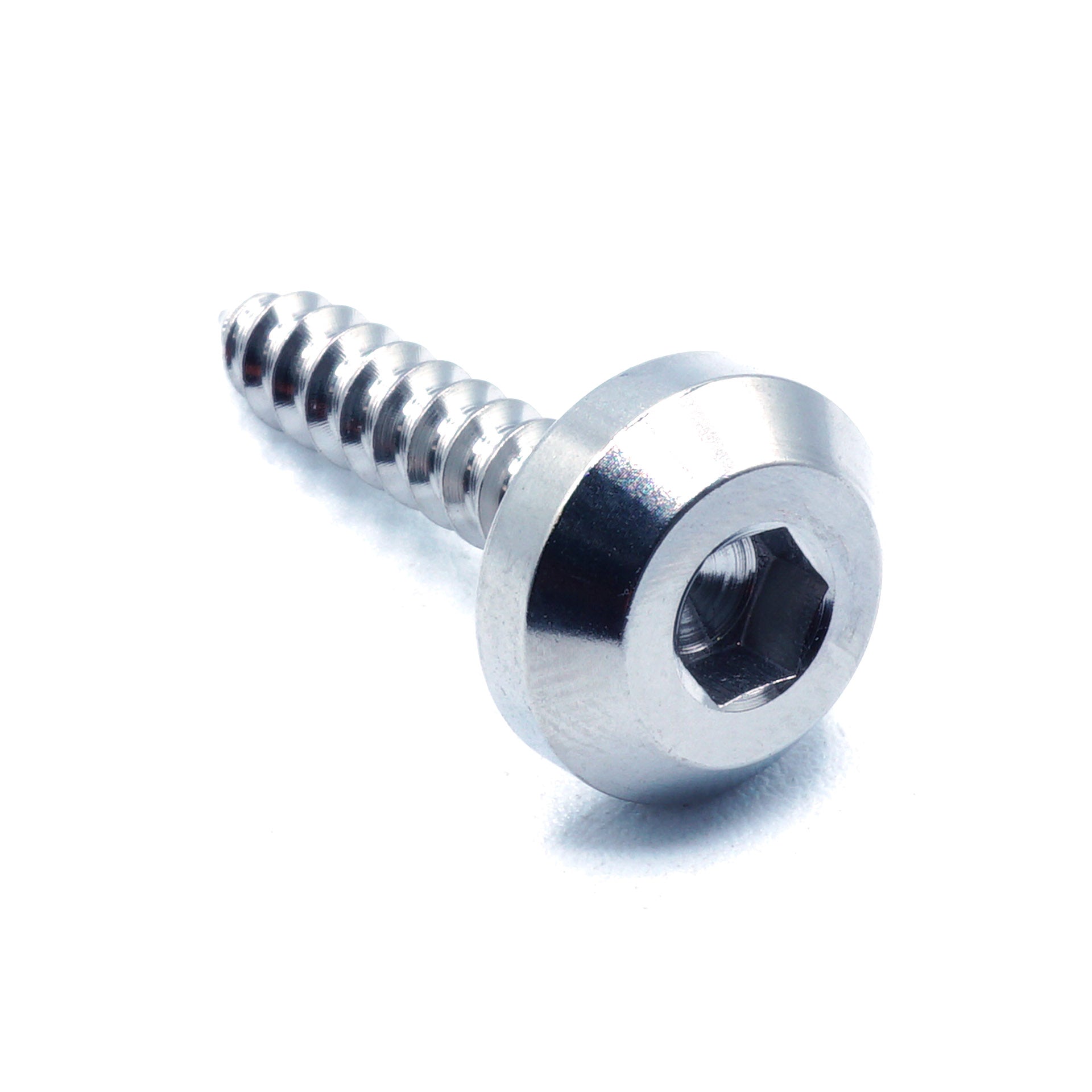 M5 x 2.0 x 25mm titanium motor head screw in polished finish