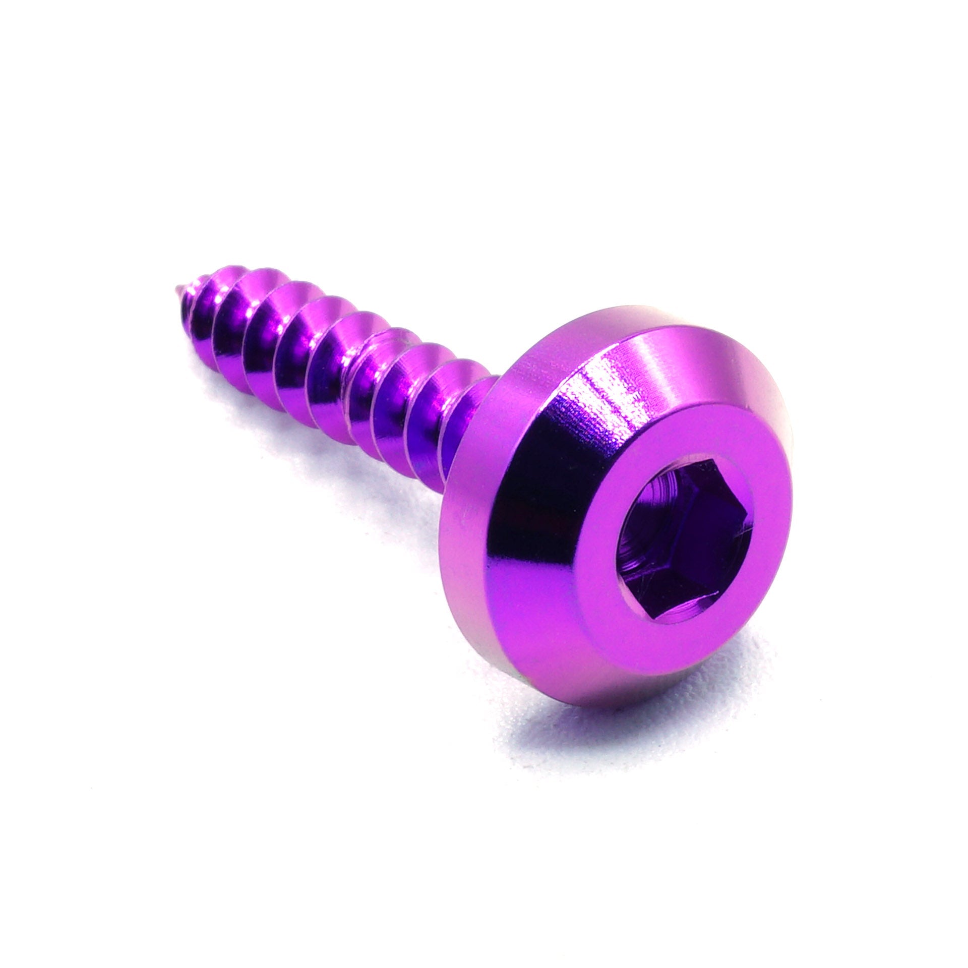 M5 x 2.0 x 25mm titanium motor head screw in polished finish