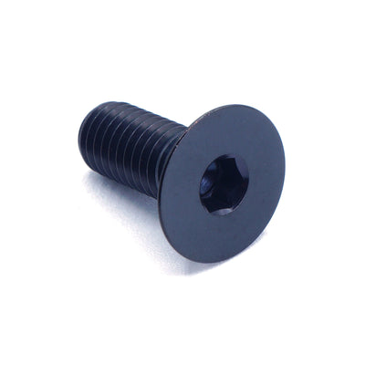 M8 x 1.25 x 20mm Titanium Countersunk Bolt in polished finish