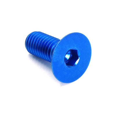 M8 x 1.25 x 20mm Titanium Countersunk Bolt in polished finish