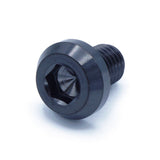 M10 x 1.50 x 15mm Titanium Motor Head Bolt in Polished finish