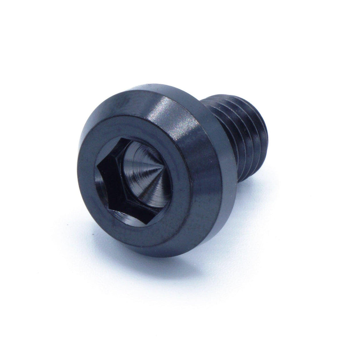 M10 x 1.50 x 15mm Titanium Motor Head Bolt in Polished finish