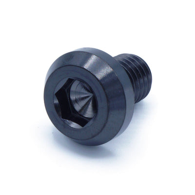 M10 x 1.50 x 15mm Titanium Motor Head Bolt in Polished finish