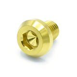 M10 x 1.50 x 15mm Titanium Motor Head Bolt in Polished finish