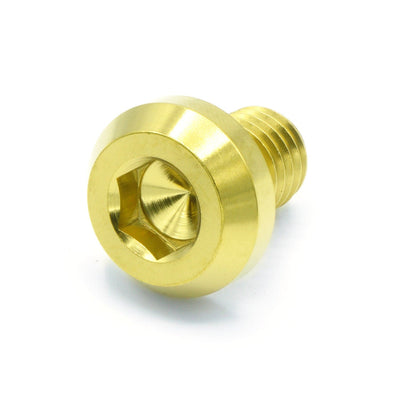 M10 x 1.50 x 15mm Titanium Motor Head Bolt in Polished finish