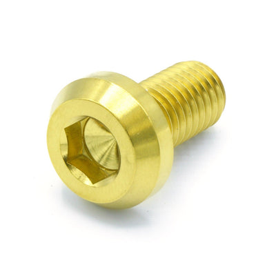 M10 x 1.50 x 20mm titanium motor head bolt in polished finish