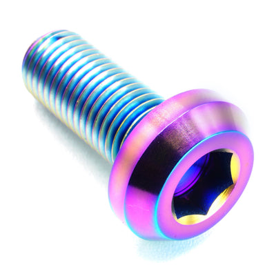 M10 x 1.50 x 25mm titanium motor head bolt in polished finish