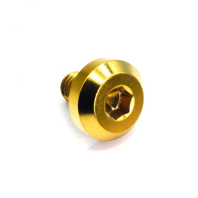 M6 x 1.00 x 10mm Titanium Motor Head Bolt in polished finish