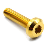 M8 x 1.25 x 35mm titanium motor head bolt in polished finish