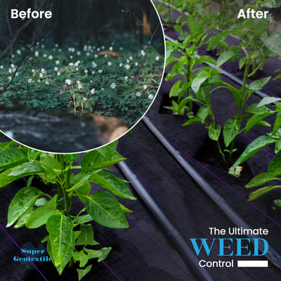 Pro Grade 5oz heavy duty weed barrier landscape fabric with planting lines